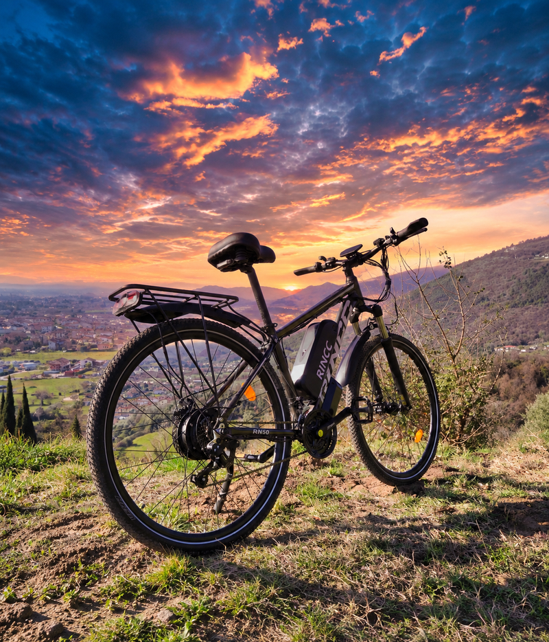 RINCC e-bike discount offer