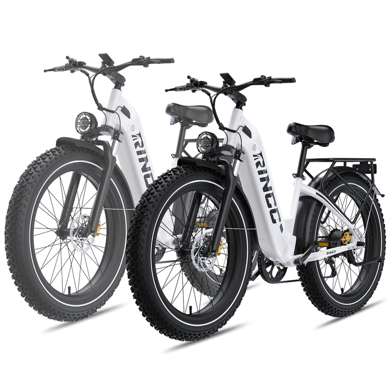 Rincc RN60 Ebike