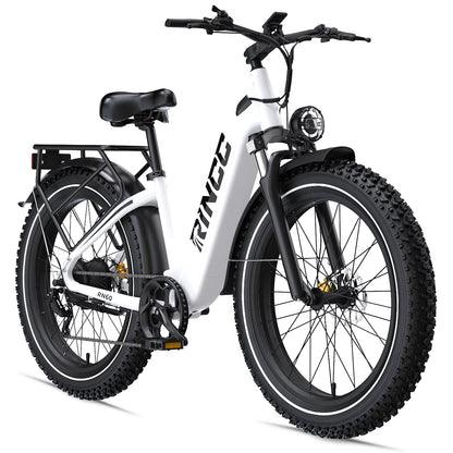 Rincc RN60 Ebike