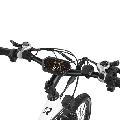 Rincc RN50 Ebike