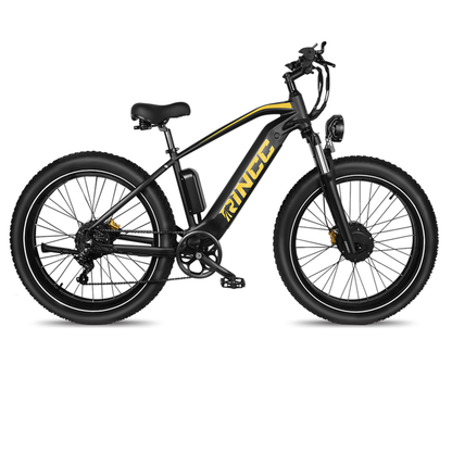 Rincc RN70 Ebike