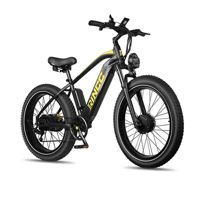 Rincc RN70 Ebike