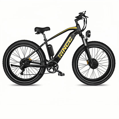 Rincc RN70 Ebike