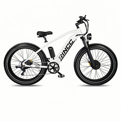 Rincc RN70 Ebike