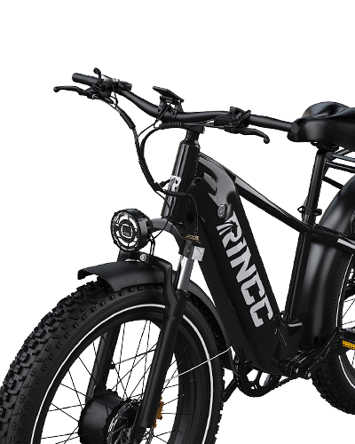 Front Suspension Fork
